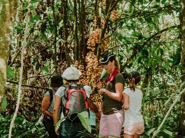 Sumbiling Night Walk Adventure